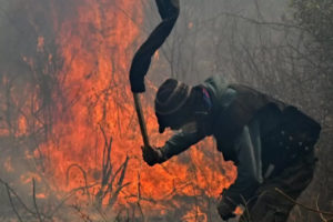 La trama oculta detrás de los incendios forestales en Córdoba   imagen-1