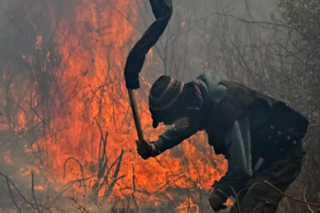 La trama oculta detrás de los incendios forestales en Córdoba   imagen-8