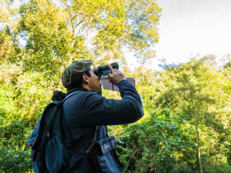 Fin de semana para la observación de aves en Misiones imagen-11