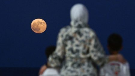 ¿Cómo y dónde ver la última superluna de 2024? imagen-13