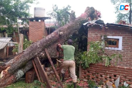 Temporal en Montecarlo: La Provincia trabaja con el municipio para asistir a las afectados imagen-6