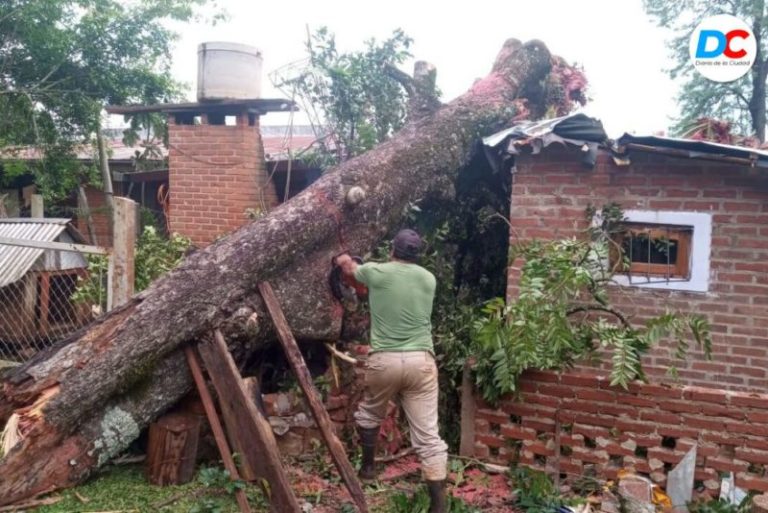 Temporal en Montecarlo: La Provincia trabaja con el municipio para asistir a las afectados imagen-4