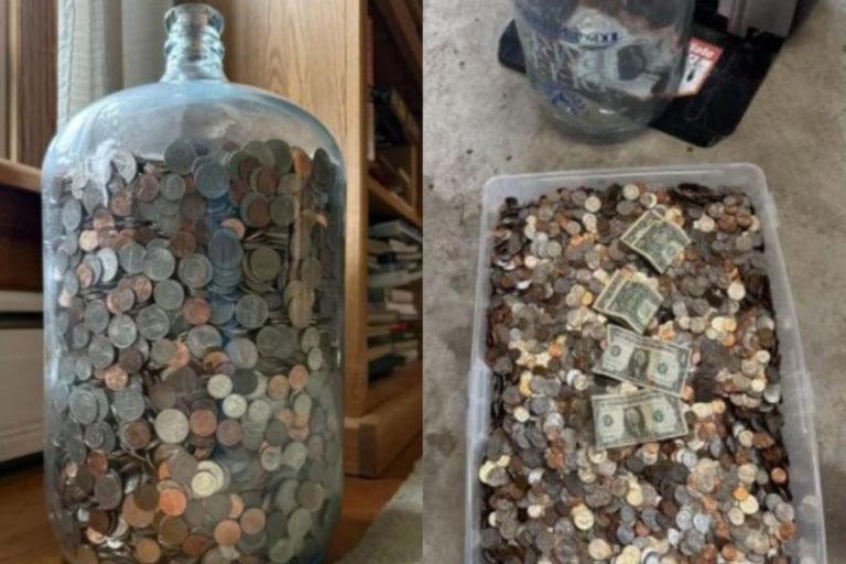 Su abuelo ahorró durante 70 años en un botellón y le heredó un tesoro de monedas antiguas muy codiciadas imagen-4