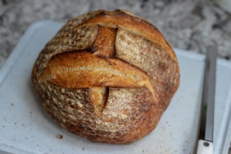 ¿Te encanta comer pan y pasta? La razón está en el ADN antiguo, según un estudio imagen-10