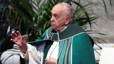 El Papa se mostró abierto a roles más importantes para las mujeres, pero hay presión para que vaya más allá imagen-14