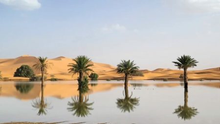 El desierto del Sahara se inundó por primera vez en décadas. Así luce imagen-15