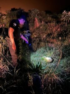 Efectivos policiales resguardaron a dos animales silvestres que se hallaban fuera de su hábitat imagen-3