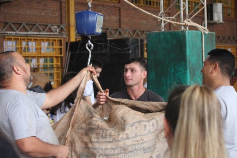 Estudiantes recolectaron más de 15 toneladas para el concurso de reciclaje imagen-5