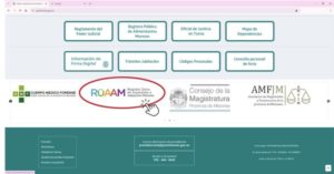 Nueva implementación: código QR del Registro Único de Aspirantes a la Adopción imagen-1