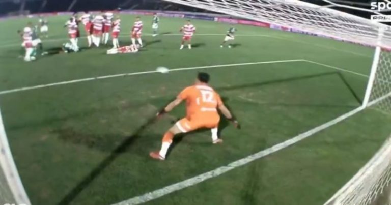 Video: había cocodrilo y fue gol por debajo de la barrera imagen-4