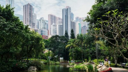 Encuentran ocho monos muertos en zoológico de Hong Kong, según el Gobierno imagen-11