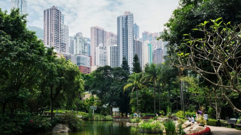 Encuentran ocho monos muertos en zoológico de Hong Kong, según el Gobierno imagen-5