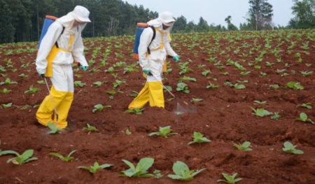 Misiones continúa como líder entre las provincias que más agua contiene en su suelo imagen-7