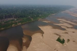 La Amazonía perdió más de 88 millones de hectáreas de bosques en casi cuatro décadas imagen-9