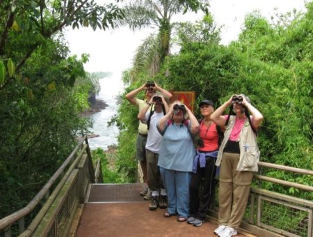 Las aves misioneras, un canto a la vida imagen-5