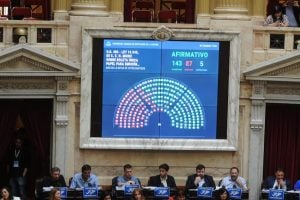 Los puntos principales de la nueva Ley de Boleta Única de Papel, que se usará en las Elecciones nacionales 2025 imagen-7