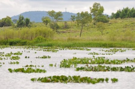 COP16: los pastizales y las sabanas son cruciales para alcanzar los objetivos de biodiversidad, pero están gravemente subvalorados y subfinanciados imagen-8