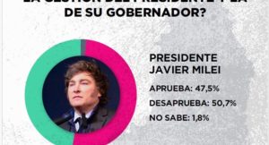 Encuesta marca desaprobación del 50% de misioneros a Milei imagen-2