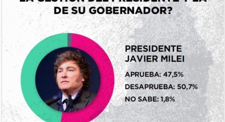 Encuesta marca desaprobación del 50% de misioneros a Milei imagen-6