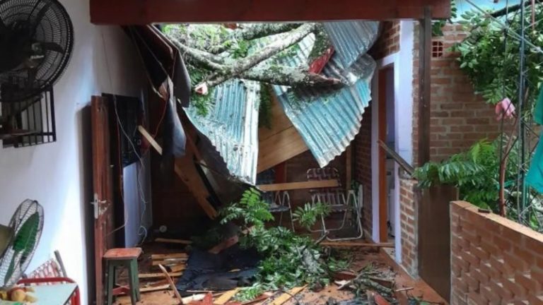 El intendente sobre el temporal en Montecarlo: «probablemente fue un tornado» imagen-5