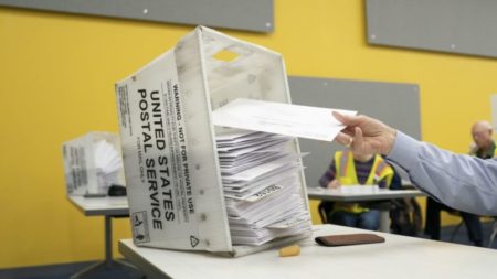 El voto en el extranjero, un grupo que podría ser crucial para los demócratas, en la mira de las demandas del Partido Republicano en estados clave imagen-11