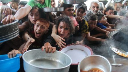 La ONU dice que no entró comida en el norte de Gaza desde principios de octubre, poniendo a un millón de personas en riesgo de hambruna imagen-11