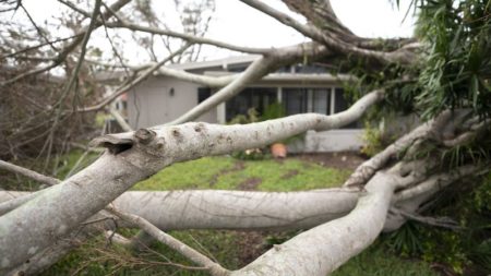 "Hablo de mudarme a diario": residentes de Florida consideran si deben irse tras los huracanes destructivos imagen-15