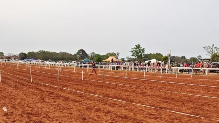 El Gobierno provincial intervino el Jockey Club de Posadas imagen-1