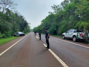 Amplio operativo policial para dar con el conductor que mató a la yaguareté imagen-2