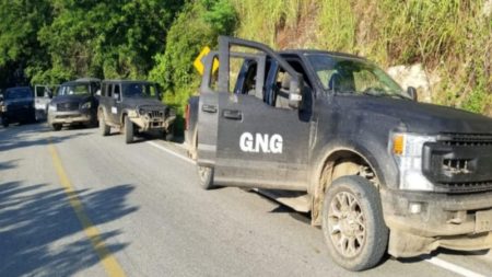 Ejército mexicano abate a 14 personas tras registrarse hechos violentos en Tecpan, Guerrero imagen-10