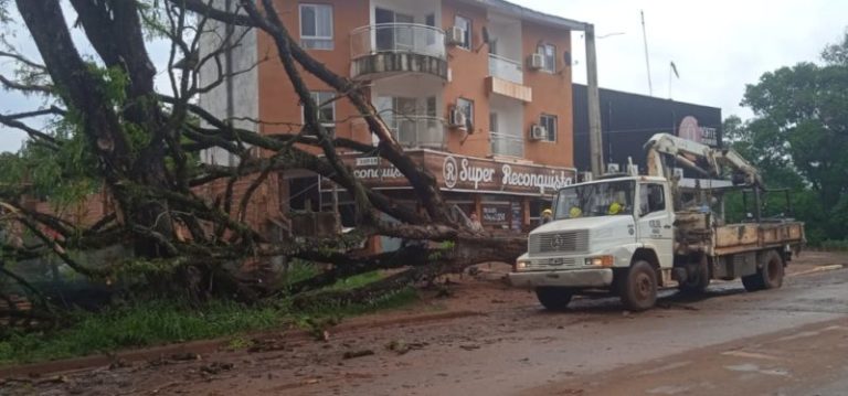 Voladura de techos, caídas de árboles y sin luz, la consecuencia del paso de la tormenta en Eldorado imagen-4