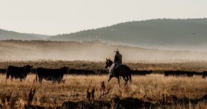 Larga vida al western (también al criollo) imagen-2