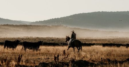 Larga vida al western (también al criollo) imagen-3