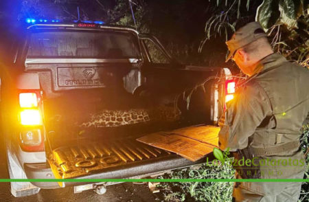 El Intendente del Parque Nacional Iguazú solicitó a la Justicia Federal, investigar y sancionar al responsable de la muerte del yaguareté imagen-9