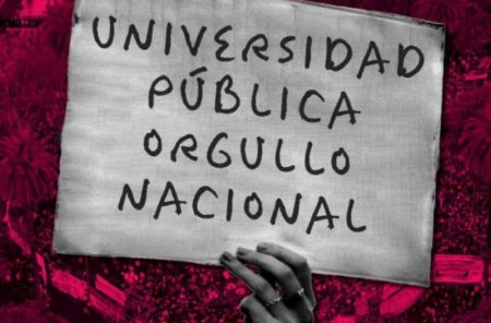 Encuesta de opinión: Universidad Pública, Orgullo Nacional imagen-11