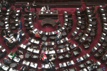 Fracasó la sesión en Diputados por la "Ficha limpia" imagen-10