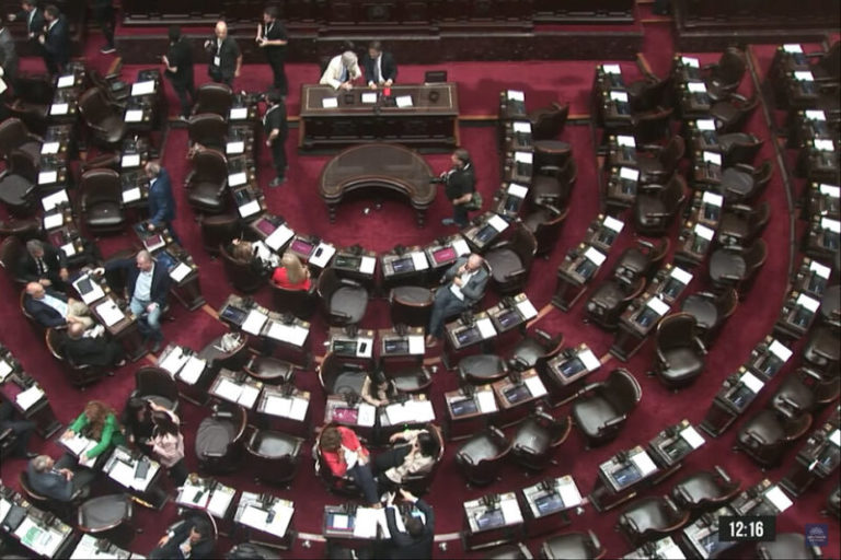 Fracasó la sesión en Diputados por la "Ficha limpia" imagen-5