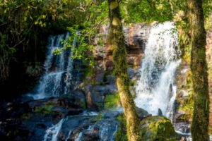 Campo Ramón formará parte del programa “Upgrade” de la ONU Turismo imagen-4