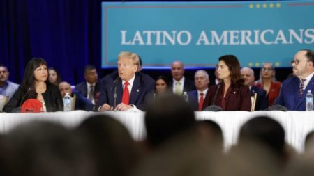 La victoria de Trump en 2024 reveló cambios en los votantes que podrían remodelar el panorama político de Estados Unidos imagen-16