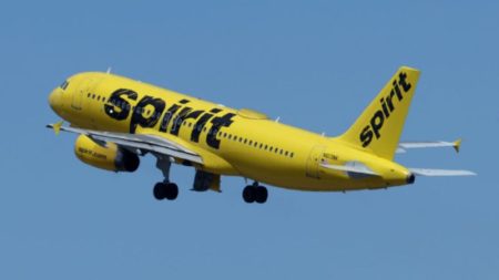 Un avión de Spirit Airlines fue alcanzado por disparos con armas de fuego sobre la capital de Haití imagen-12