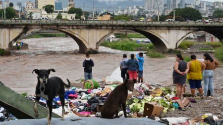 Dos personas murieron y más de 120.000 resultaron afectadas en Honduras tras el paso de la tormenta tropical Sara imagen-10