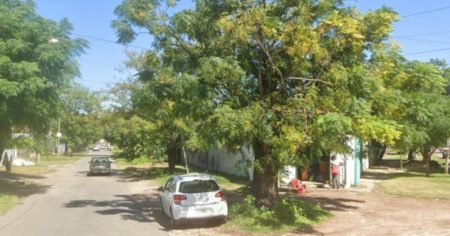 Un hombre murió en Rosario después de recibir 150 picaduras de abejas cuando fue a orinar a un árbol imagen-14