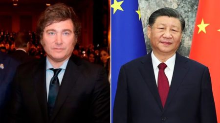 Milei se reúne con Xi Jinping en el marco del G20 imagen-15