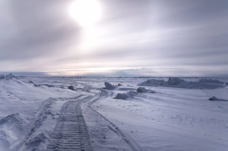 Clima hoy en Estados Unidos: dónde va a nevar este martes 19 de noviembre imagen-5