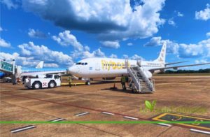 Problemas operativos de Flybondi afectan al turismo, en el destino Iguazú imagen-4