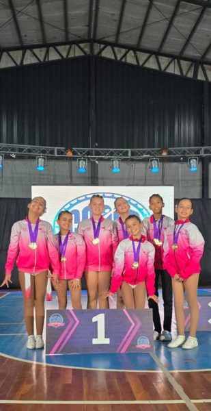 La escuela municipal de gimnasia rítmica obtuvo grandes resultados en el Campeonato Argentino imagen-8