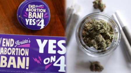 La mayoría en Florida vota “Sí” en enmiendas de aborto y marihuana, pero no alcanzan el umbral del 60% para ser aprobadas imagen-11