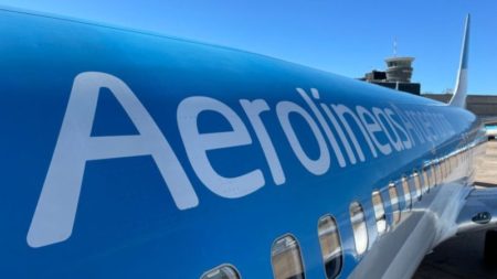 Mientras el Gobierno se enfrenta a trabajadores aeronáuticos, avanza el plan para privatizar Aerolíneas Argentinas imagen-7