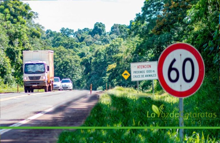 Bajemos un cambio: Fundación Vida Silvestre Argentina recuerda la necesidad de respetar los límites de velocidad imagen-3