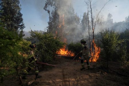 Chile declara alerta roja por incendios forestales en cinco comunas; el fuego afecta más de 300 hectáreas imagen-5